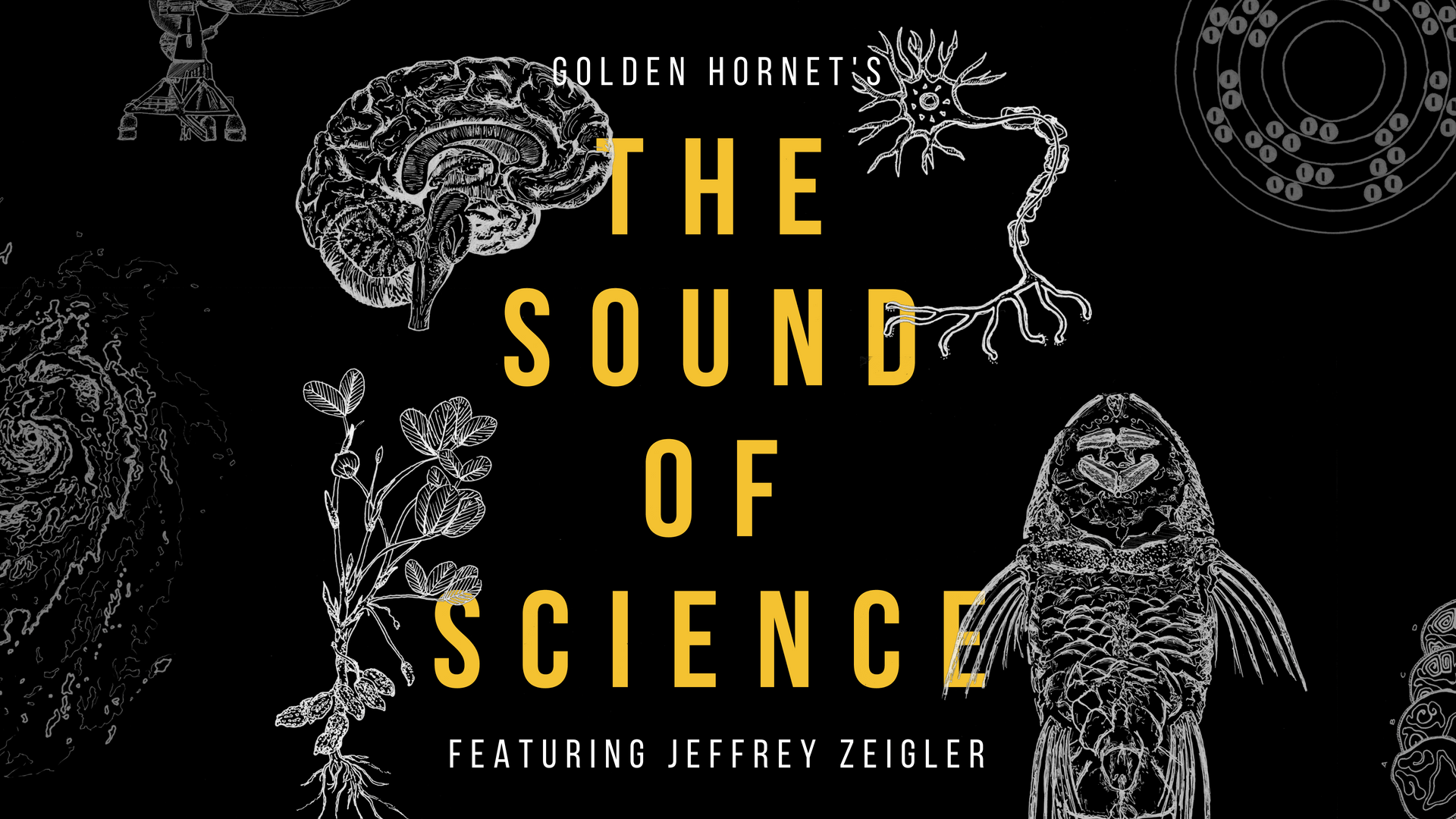 Cover for The Sound of Science